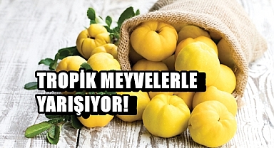 Ayvanın Kilosu Görenleri Hayrete Düşürüyor