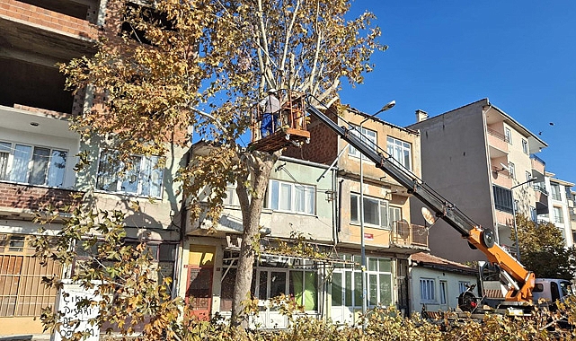 Belediye Sonbahar Temizliği İçin Sahada