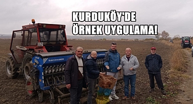 Hem Hayvancılığa Destek Olacaklar Hem Köye Gelir Sağlayacaklar