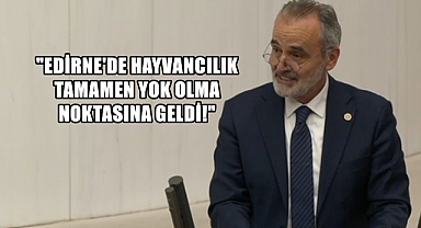 İYİ Partili Akalın, “Edirne'de Sürdürülebilir Tarım Tehdit Altında”