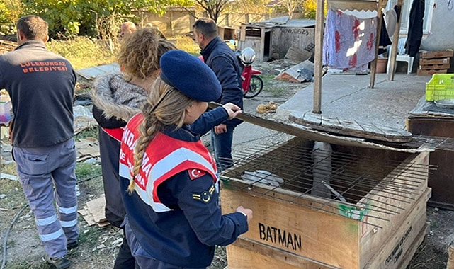 Kırklareli'nde Yasaklı Irk Köpek Besleyen Kişiye 317 bin 544 lira Ceza Kesildi