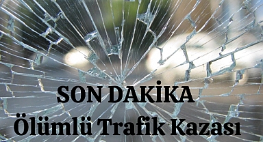 Son Dakika: Trafik Kazası Can Aldı