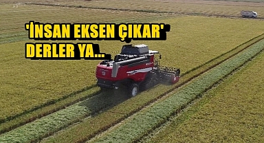 Trakya'nın En Verimli Toprakları Bakın Neredeymiş
