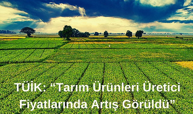 TÜİK: “Tarım Ürünleri Üretici Fiyatlarında Artış Görüldü”