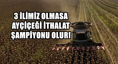 Türkiye’nin Ayçiçeği Yağı Yükünü Trakya Sırtlıyor!