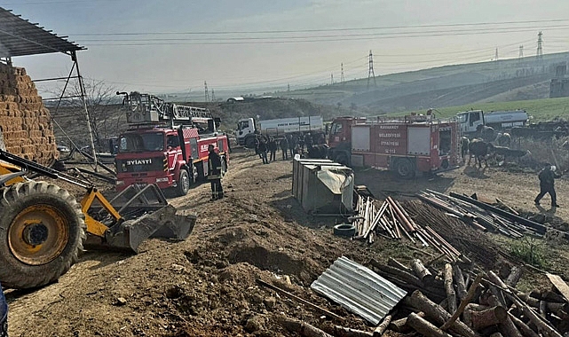 Besi Çiftliğinde Korkutan Yangın