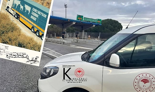 Sağlıklı Gıda İçin Canlı Hayvan Kontrolleri Aralıksız Devam Ediyor