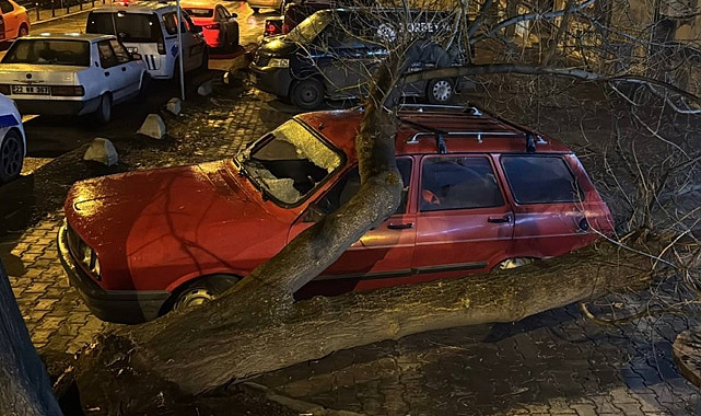 Üzerine Ağaç Devrilen Otomobilde Hasar Oluştu