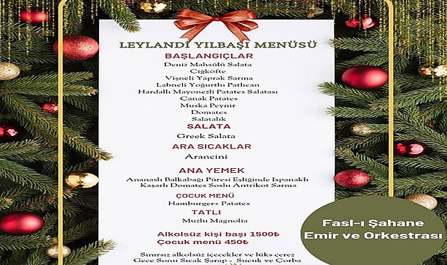Yeni Yıl Planınızı Yaptınız Mı?