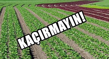 Çiftçiler Bu Haber Size; 28 Şubat Tarihine Kadar Sürecek!