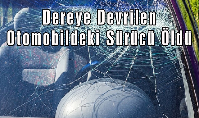 Dereye Devrilen Otomobildeki Sürücü Öldü