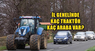 Edirne Genelindeki Araç Sayıları Şaşırttı!