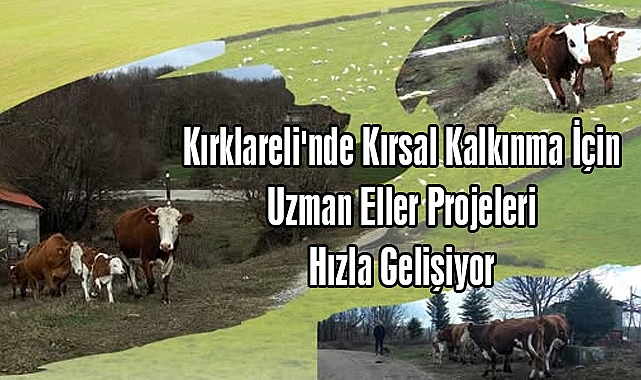 Kırklareli'nde Kırsal Kalkınma İçin Uzman Eller Projeleri Hızla Gelişiyor
