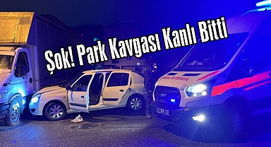 Şok! Park Kavgası Kanlı Bitti