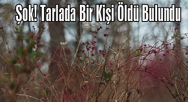Şok! Tarlada Bir Kişi Ölü Bulundu