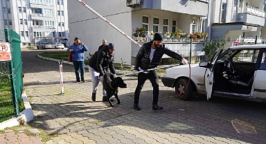 Şok! Yine Bir Sahipsiz Köpek Dehşeti