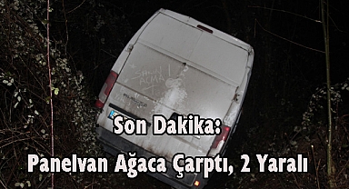 Son Dakika: Panelvan Ağaca Çarptı, 2 Yaralı