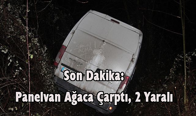 Son Dakika: Panelvan Ağaca Çarptı, 2 Yaralı