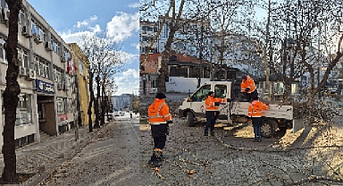 100. Yıl Caddesi'nde Ağaç Budama Çalışması
