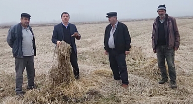 Gaytancıoğlu Çeltik Desteklerinin Akıbetini Sordu