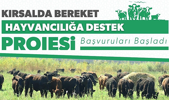 Hayvancılıkta Yeni Dönem Başlıyor: Kırsalda Bereket Projesi Başladı