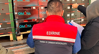 İhracattan Geri Dönen Ürünlere Edirne Sınırında Sık Denetim!