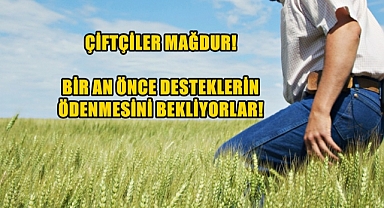 Mazot ve Gübre Desteklerinden Ne Haber?