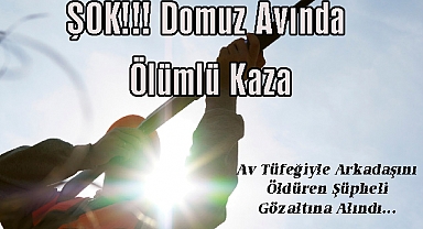 ŞOK!!! Domuz Avında Ölümlü Kaza
