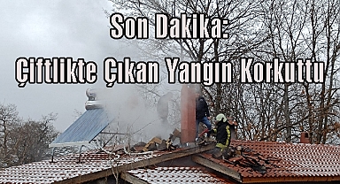 Son Dakika: Çiftlikte Çıkan Yangın Korkuttu