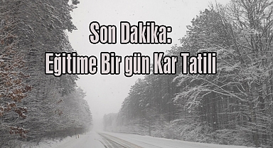 Son Dakika: Eğitime Bir gün Kar Tatili