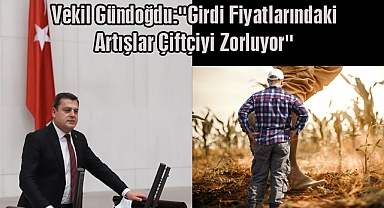 Vekil Gündoğdu: