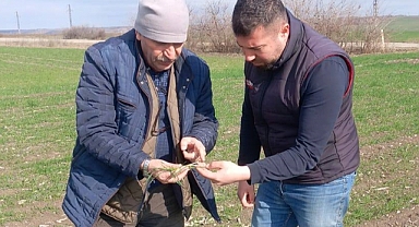 Ziraat Odasından Gübreleme Uyarısı; “Boşa Gitmesin”