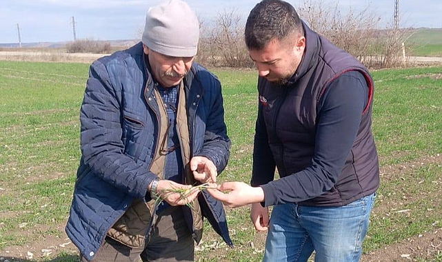 Ziraat Odasından Gübreleme Uyarısı; “Boşa Gitmesin”