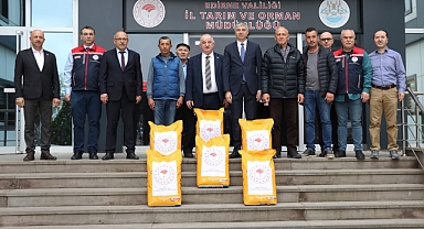 Ayçiçeği Üretimine Destek: Yüzde 75 Hibeli Tohumların Dağıtımı Başladı