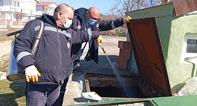Belediyenin Larva Mücadelesi Devam Ediyor