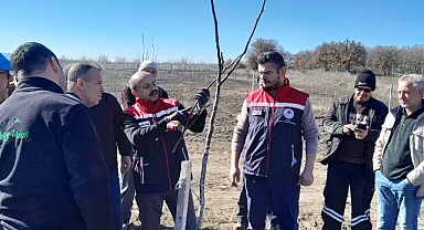 Ceviz Üreticilerine Budama ve Gübreleme Eğitimi Verildi