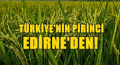 Edirne Çeltik Üretiminde Türkiye Birincisi!