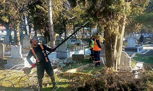 Kırklareli Belediyesi, Mezarlıklarda Ağaç Budama Çalışması Gerçekleştirdi