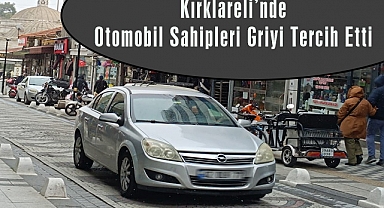 Kırklareli’nde Otomobil Sahipleri Şubat Ayı'nda da Griyi Tercih Etti