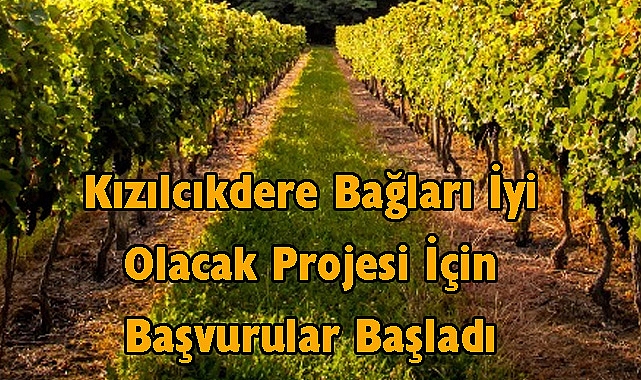 Kızılcıkdere Bağları İyi Olacak Projesi İçin Başvurular Başladı