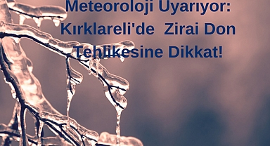 Meteoroloji Uyarıyor: Kırklareli'de Zirai Don Tehlikesine Dikkat!