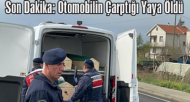 Son Dakika: Otomobilin Çarptığı Yaya Öldü