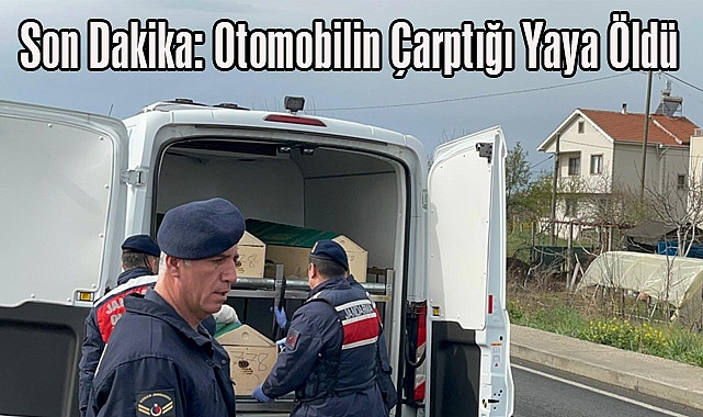 Son Dakika: Otomobilin Çarptığı Yaya Öldü