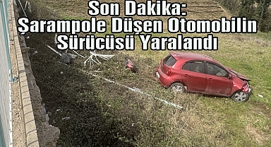Son Dakika: Şarampole Düşen Otomobilin Sürücüsü Yaralandı