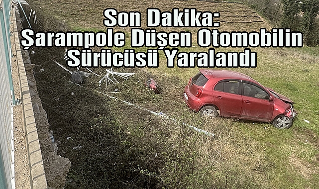 Son Dakika: Şarampole Düşen Otomobilin Sürücüsü Yaralandı