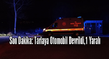 Son Dakika: Tarlaya Otomobil Devrildi,1 Yaralı