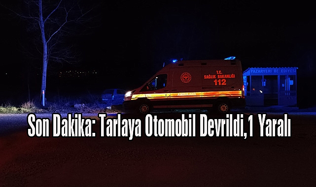 Son Dakika: Tarlaya Otomobil Devrildi,1 Yaralı