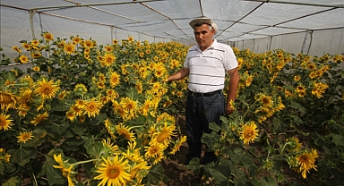 Trakya Üniversitesine TÜBİTAK’tan Uluslararası Proje Desteği