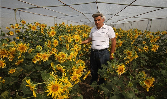 Trakya Üniversitesine TÜBİTAK’tan Uluslararası Proje Desteği