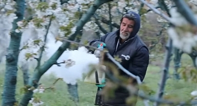 Bakan Açıkladı; “Tarihimizin En Büyük Zirai Don Olaylarından”
